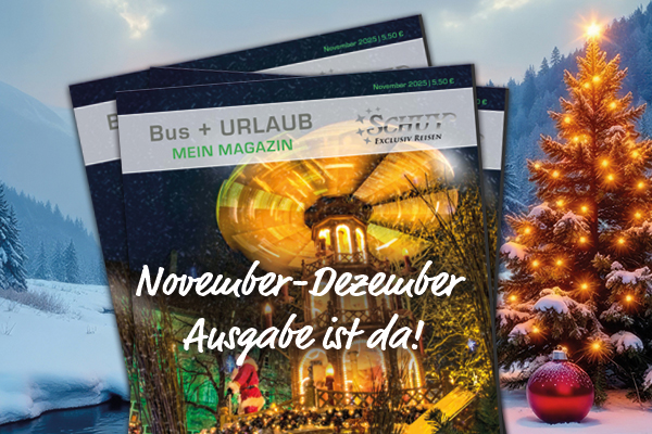 Winterlandschaft mit Weihnachtsbaum neben einem zugefrorenen Bach