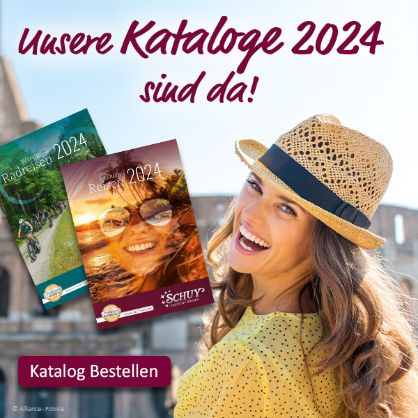 Katalog-2024_Banner_mobil