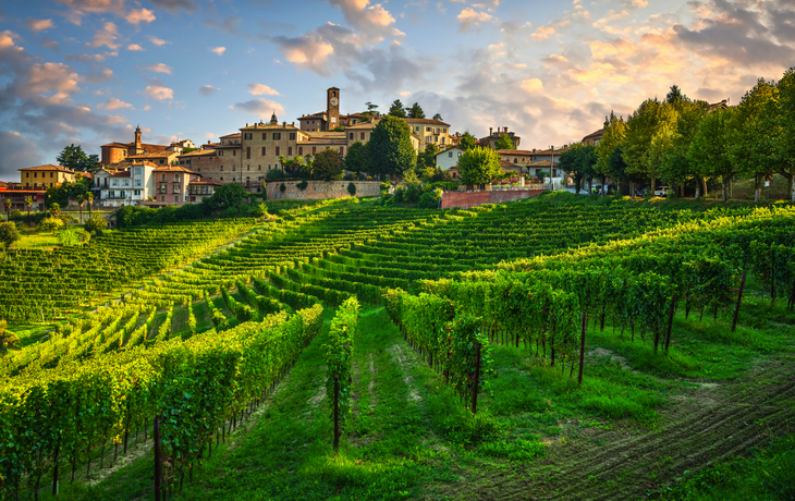 Dorf Neive und Weinberge der Langhe