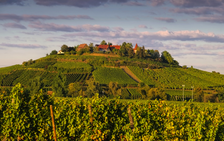 Zellenberg im Elsass