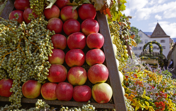 Traubenfest Meran