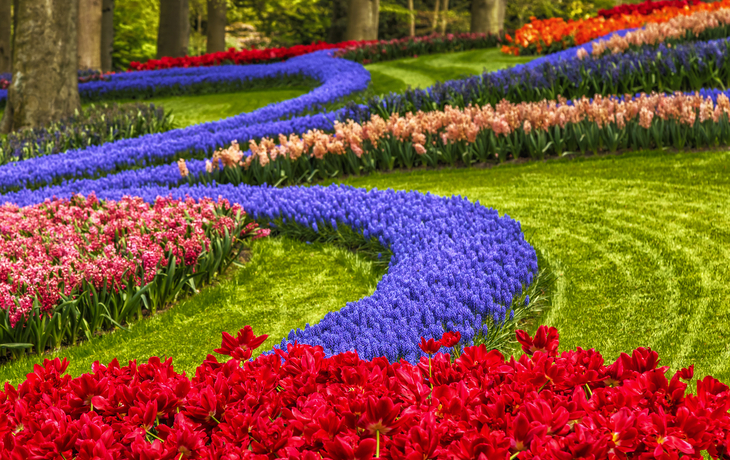 Keukenhof in den Niederlanden