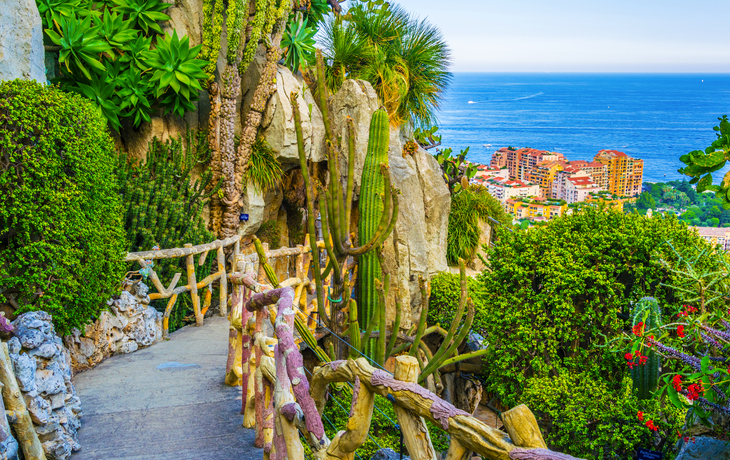 Jardin Exotique de Monaco