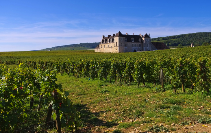 Château du Clos de Vougeot