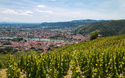 Rhône und Saône MS Mistral