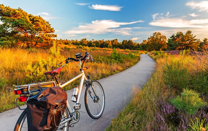 Elektrisches Fahrrad im niederländischen Nationalpark Die Veluwe