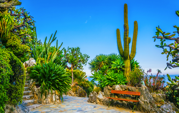 Jardin Exotique de Monaco