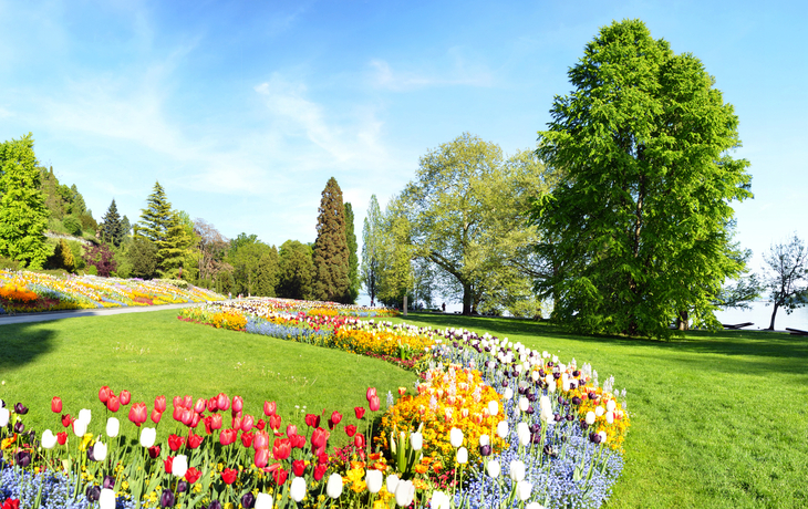 Panorama der Insel Mainau im Bodensee, Deutschland