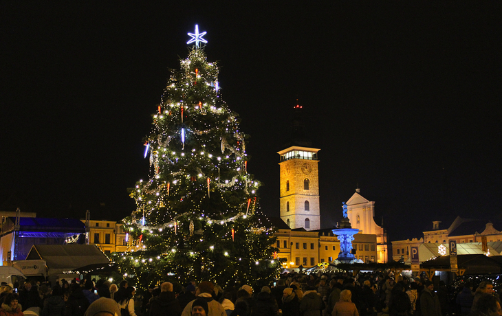 Weihnachtsbaum im Zentrum von Budweis