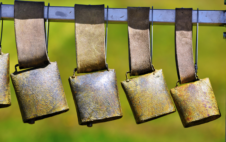 Kuhglocken im Gebirgspass Reiterjoch nahe Obereggen, Italien
