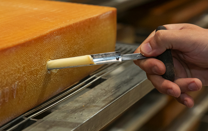 ErlebnisSennerei Zillertal in Mayrhofen, Österreich