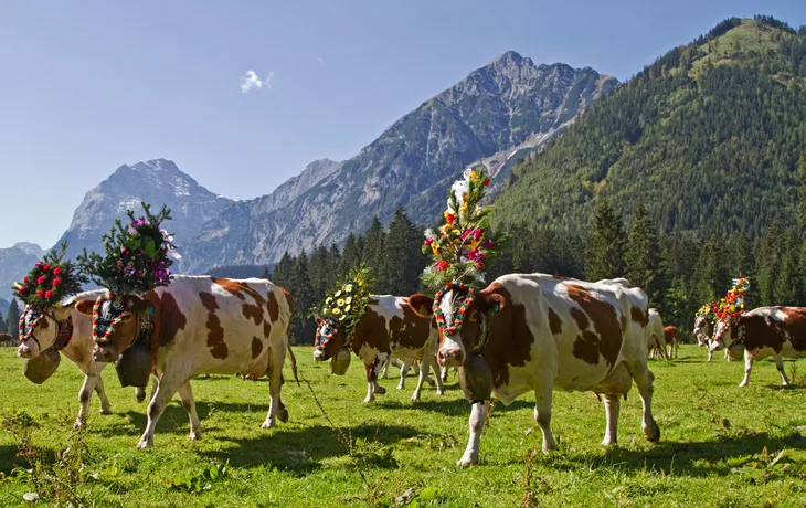 Almabtrieb