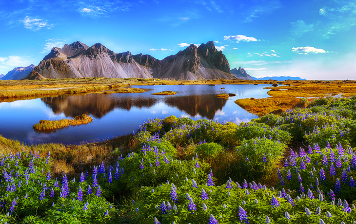 Landzunge Stokksnes im Südosten Islands
