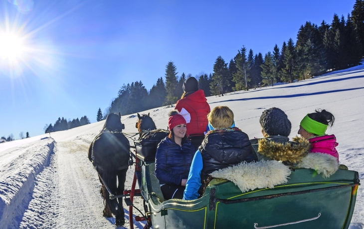 entspannter Ausflug mit dem Pferdeschlitten im Winter
