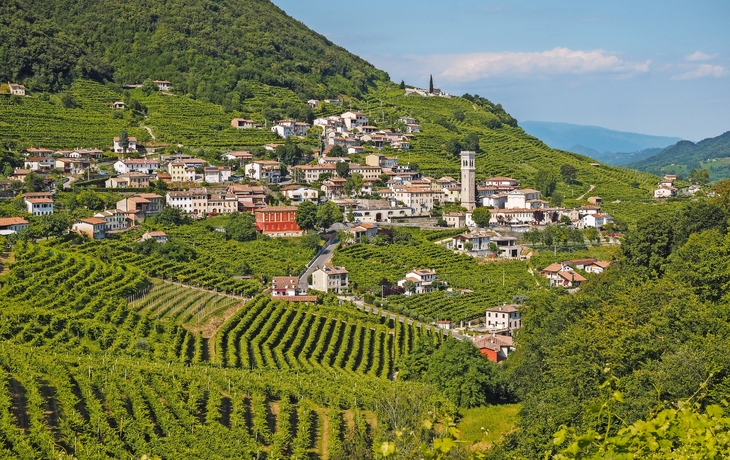 Prosecco Hills nahe Valdobbiadene in Venetien, Italien