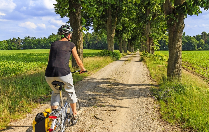 Müritz-Nationalpark