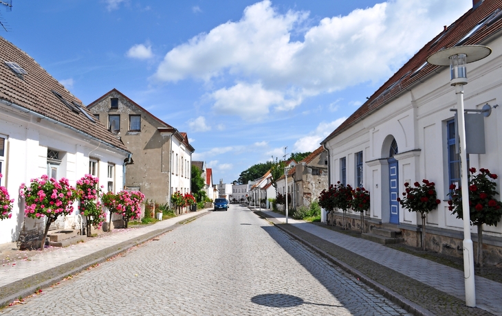 Strae mit Rosenbumchen, Rosenstadt Putbus, Stadtansicht