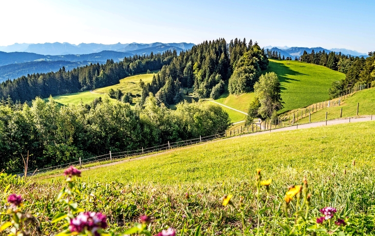 Pfänder - der Hausberg von Bregenz, Österreich