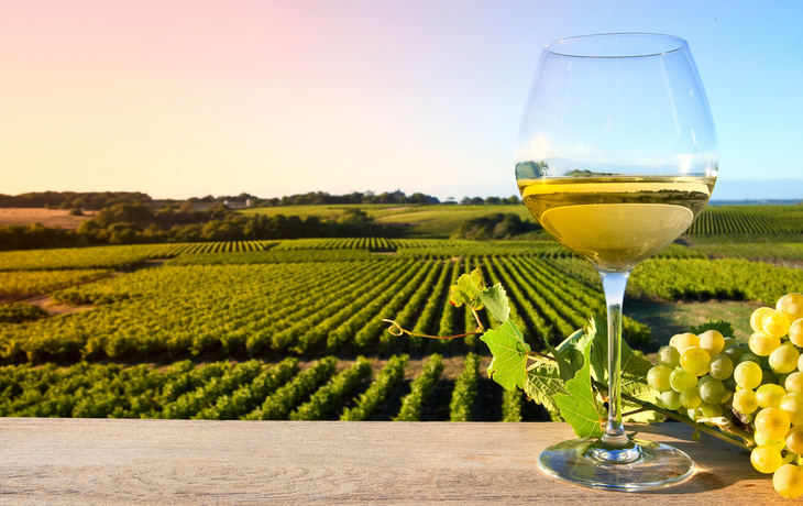 Weißwein auf einem Rebehintergrund