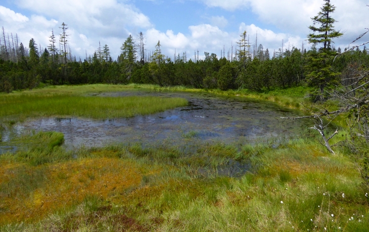 Bayrischer Wald Radreise