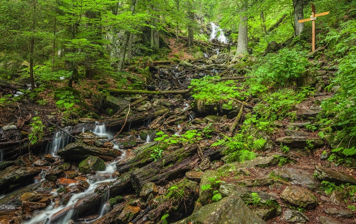 Bayrischer Wald Radreise