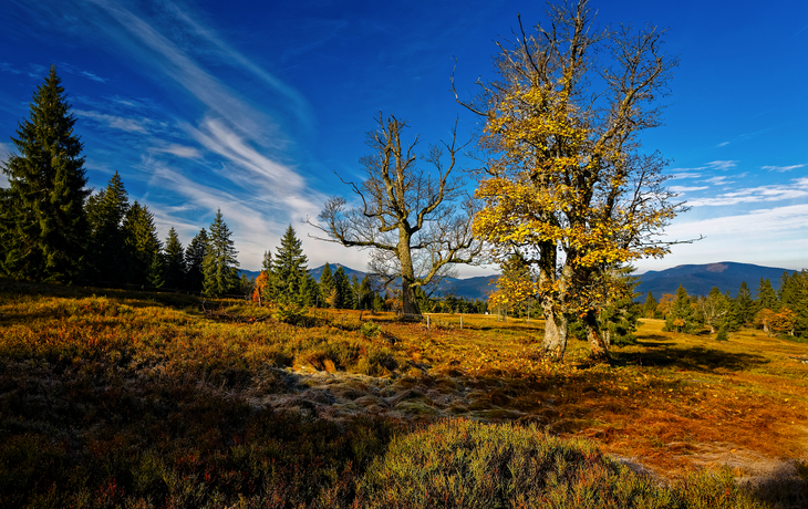 Bayrischer Wald Radreise