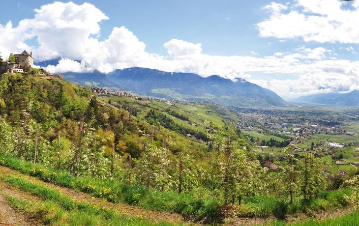 Schloss Tirol im Frühling