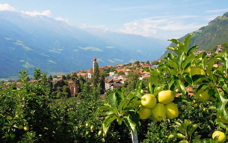 Partschins im Vinschgau