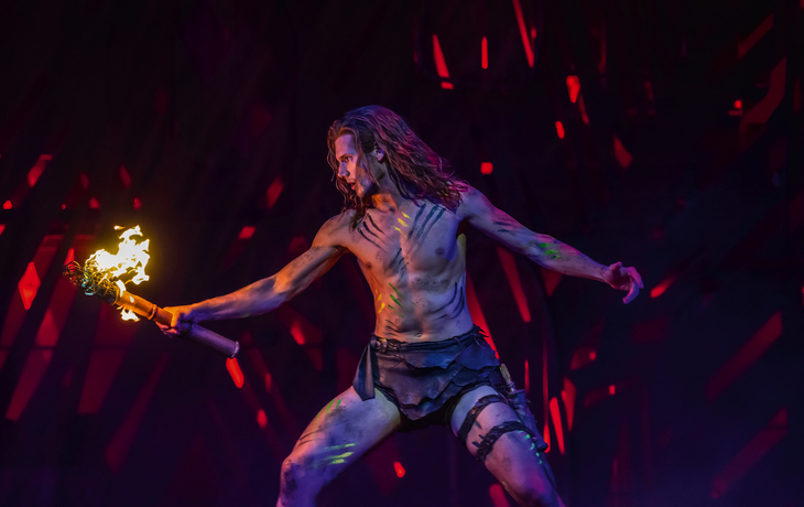 TARZAN -  das Musical