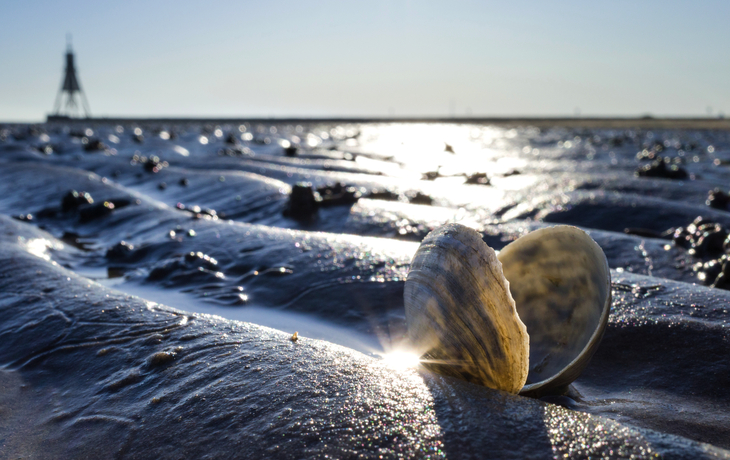 Wattenmeer in Cuxhaven mit der Kugelbake