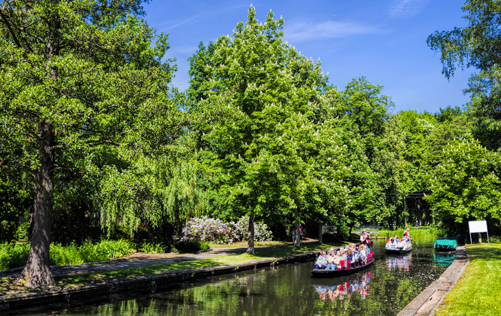 Spreewald nahe Lübbenau