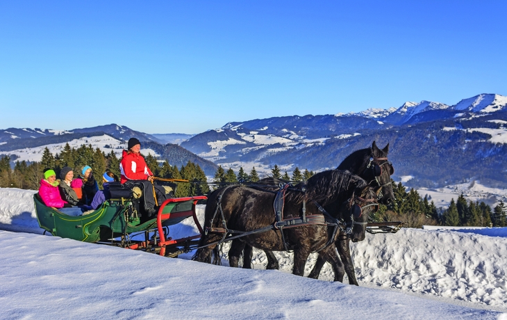Ausflug mit der Pferdekutsche