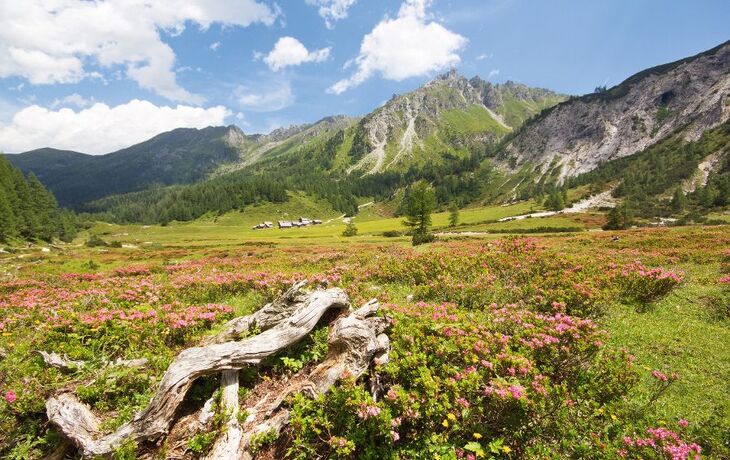 Ursprungalm - Schladming