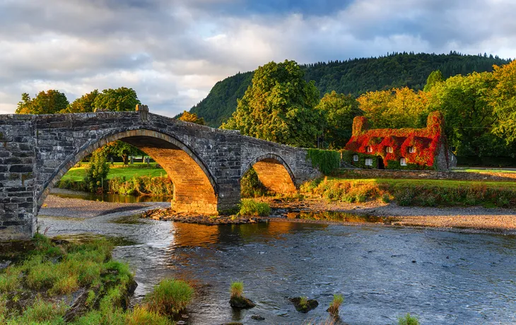 Herbst bei Llanrwst in Wales