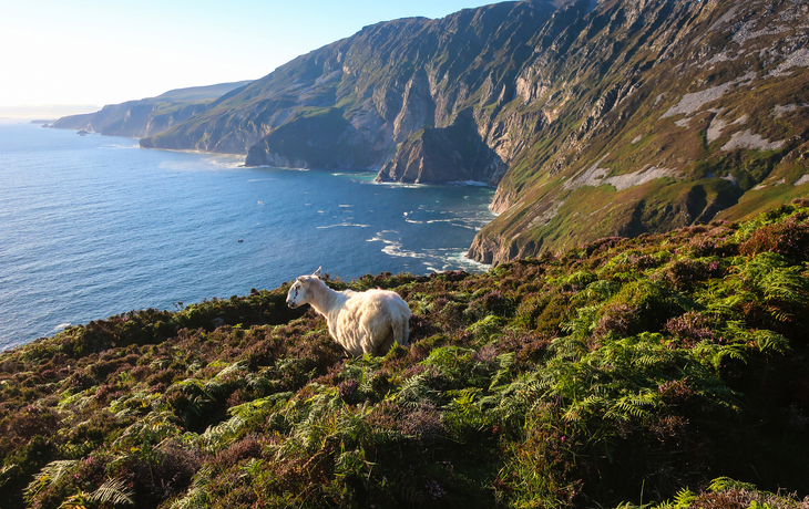 Klippen von Slieve League in der irischen Grafschaft Donegal