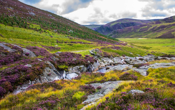 Schottische Landschaft - Angus, südlich der Grampian Mountains