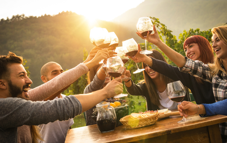 Freunde zur Erntezeit in der Weinberglandschaft