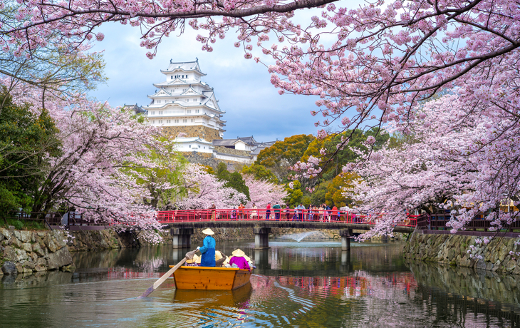 Burg Himeji mit Kirschblüten im Frühling