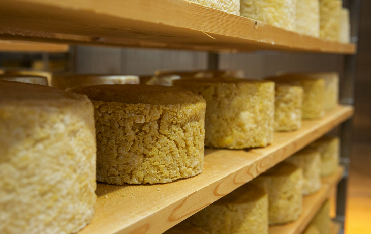 ErlebnisSennerei Zillertal in Mayrhofen, Österreich