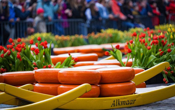 Käsemarkt in Alkmaar