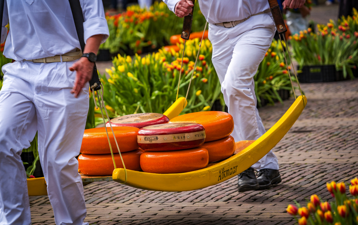 Käsemarkt in Alkmaar