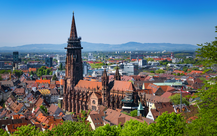 Freiburger Münster 