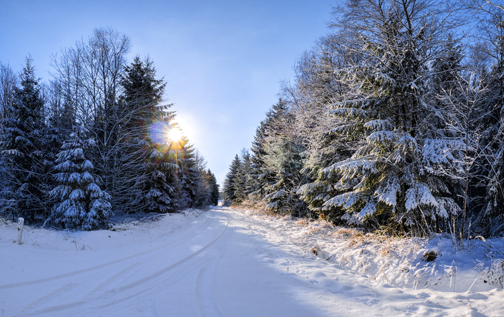 Winterlicher Westerwald