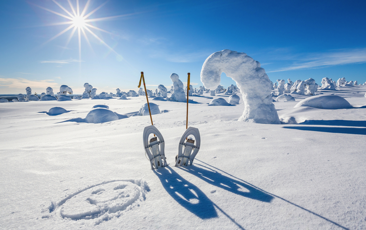 Schneeschuhe an einem sonnigen Tag in einem verschneiten Winterwald