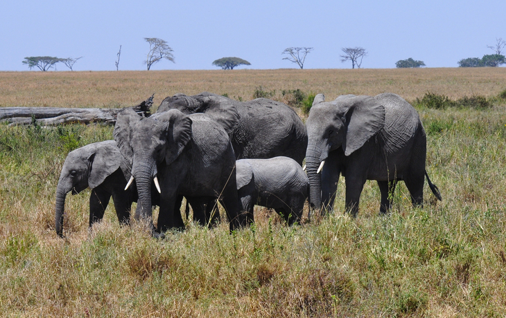 Tarangire-Nationalpark