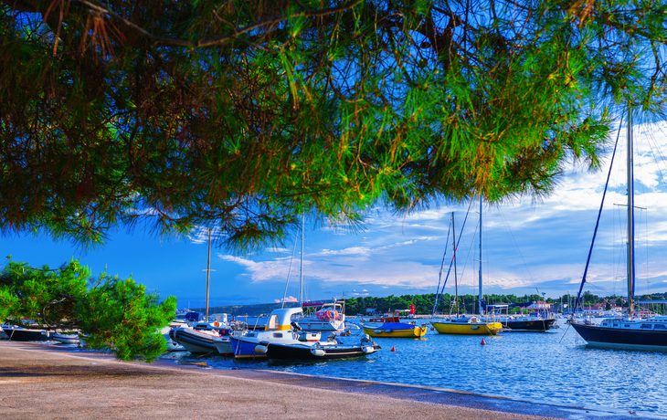 Insel Krk