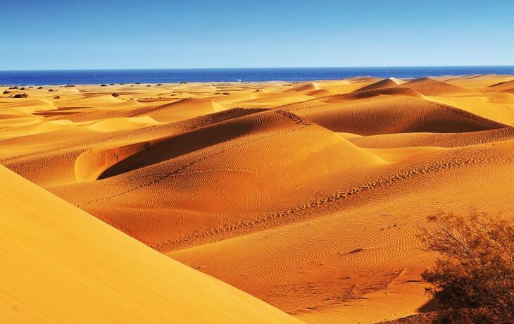 Natural Reserve of Dunes of Maspalomas, in Gran Canaria, Spain