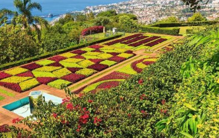 Tropical Botanical Gardens in Funchal town, Madeira island