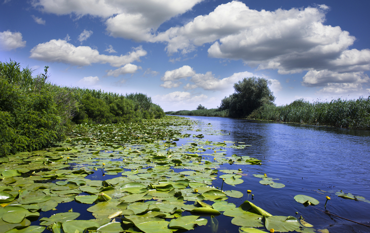 Donaudelta
