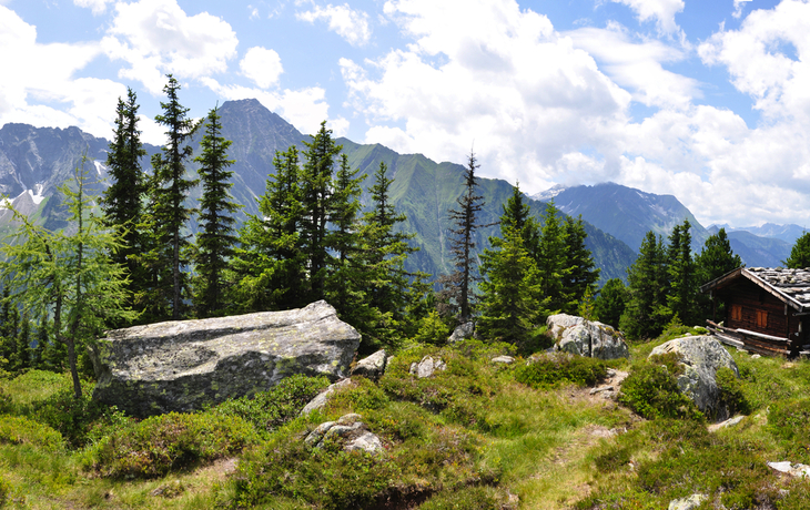 Panorama der Zillertaler Alpen